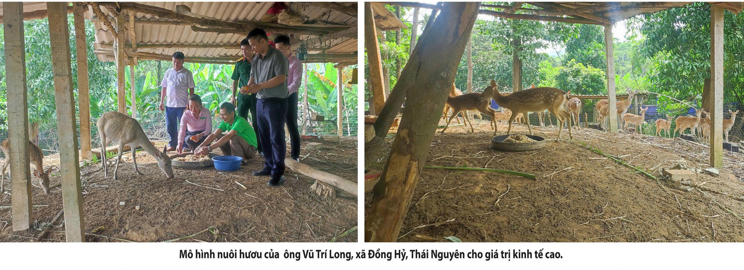 Từ đồng vốn chính sách đến những sinh kế bền vững