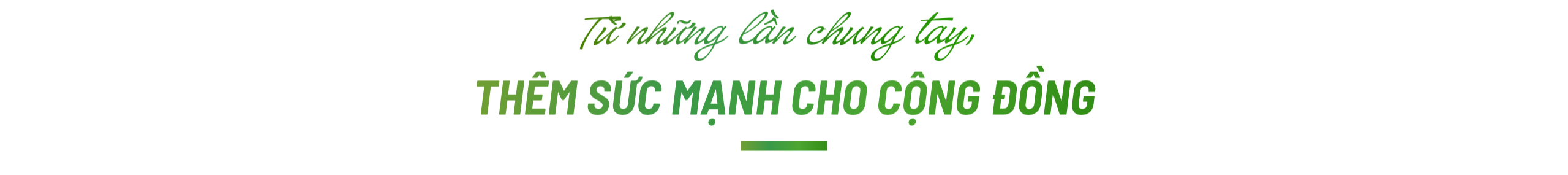 Quỹ Thiện Tâm: 20 năm lặng thầm gieo những mùa hạnh phúc, nâng bước những ước vọng tương lai