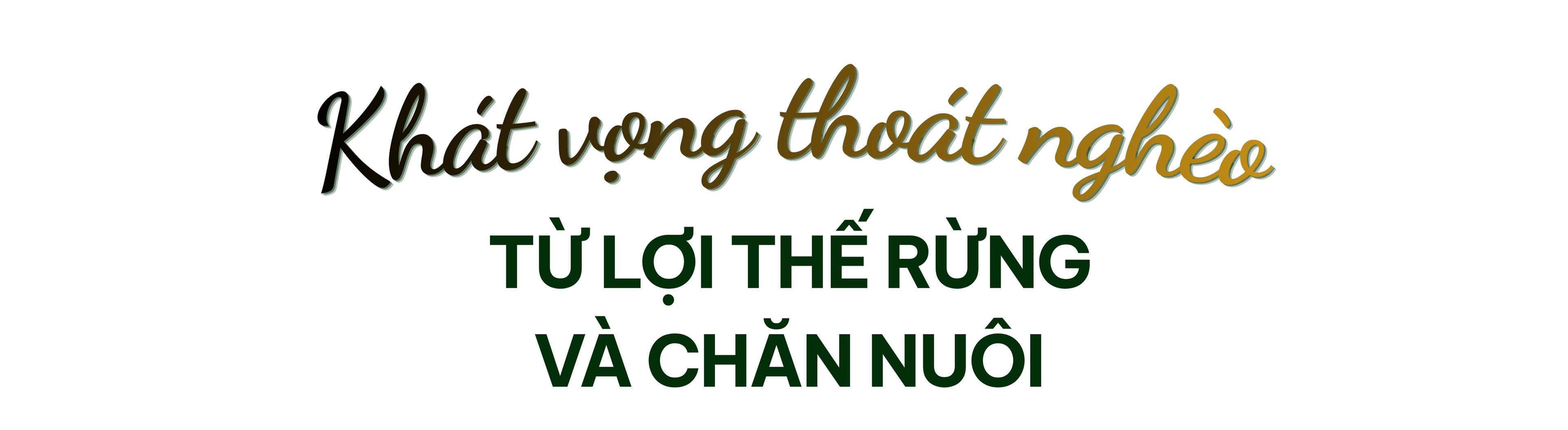 Khát vọng Tân Sơn