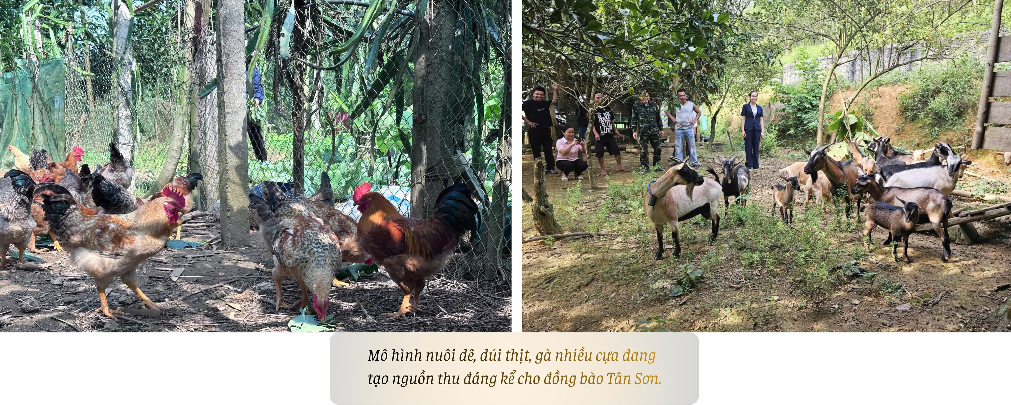 Khát vọng Tân Sơn