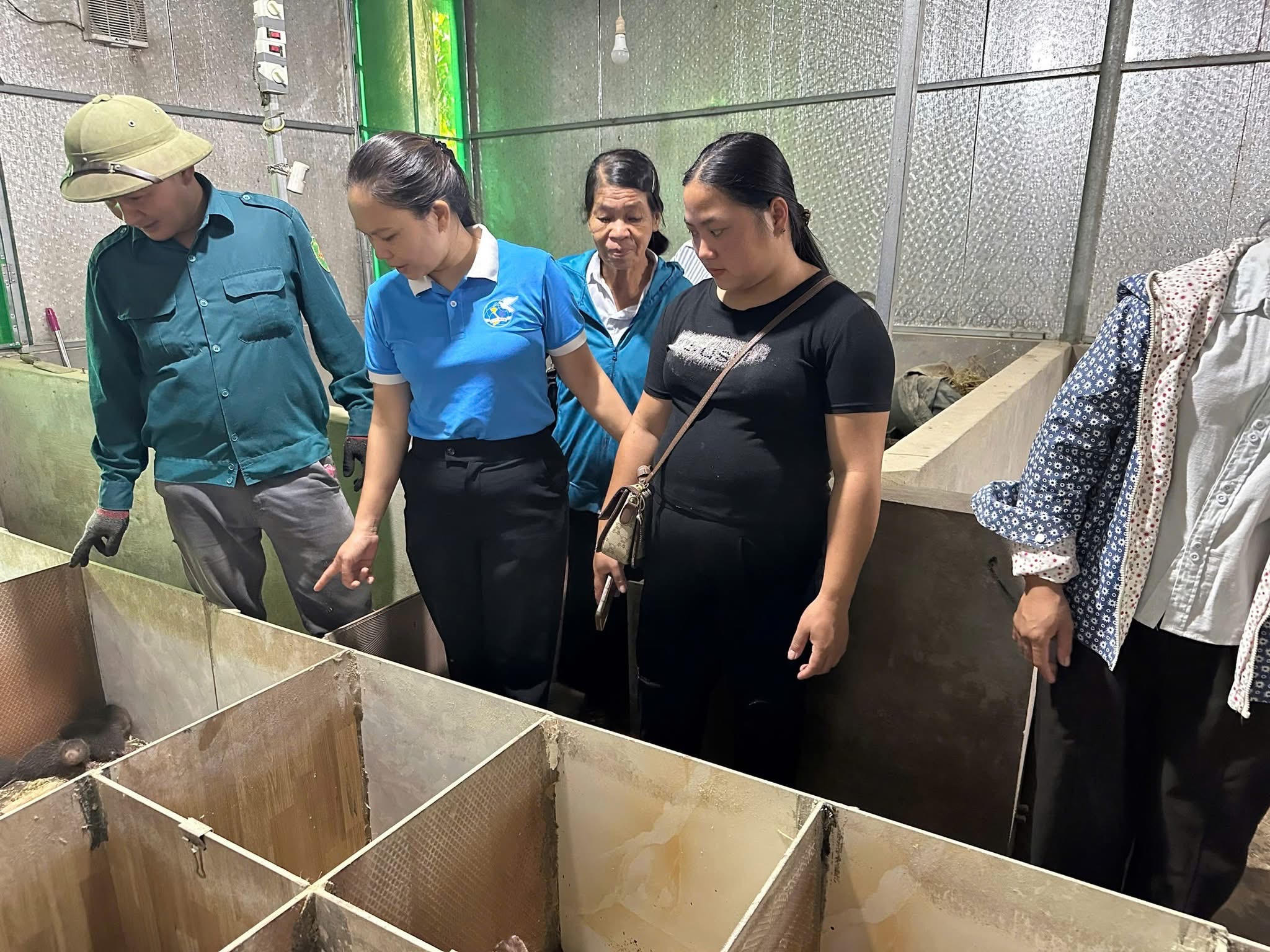 Khát vọng Tân Sơn