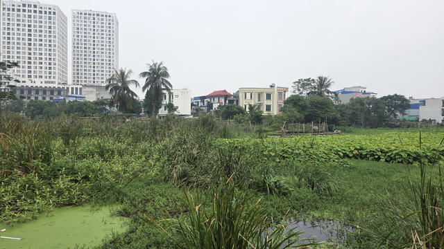 Ninh Bình: Hồ nước bỏ hoang, gây ô nhiễm giữa lòng đô thị