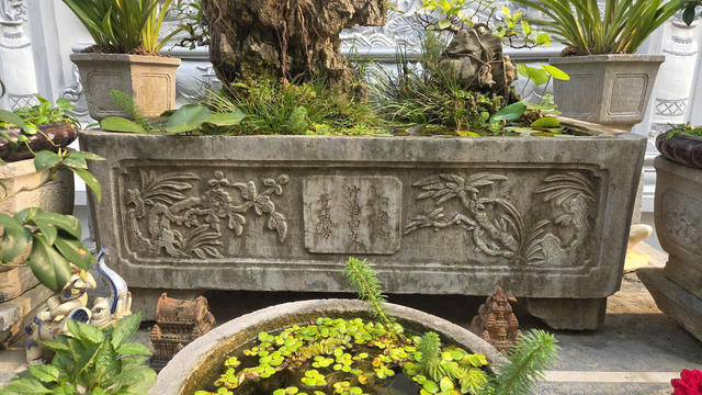 Hồn xưa trong đá cũ