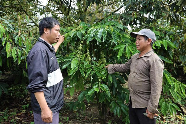 [PODCAST] Mặt trận khẳng định vai trò trung tâm đoàn kết trong phát triển kinh tế xanh