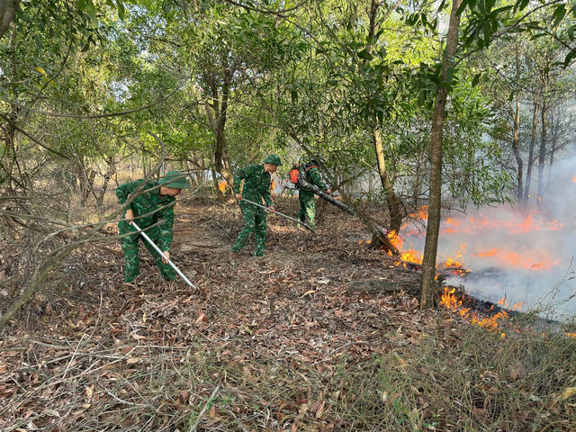 Quảng Trị: Khống chế thành công 2 vụ cháy rừng Quảng Trị: Khống chế thành công 2 vụ cháy rừng