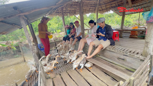 Về Cần Thơ Tết Độc lập: Trải nghiệm sống chậm giữa Cồn Sơn Về Cần Thơ Tết Độc lập: Trải nghiệm sống chậm giữa Cồn Sơn