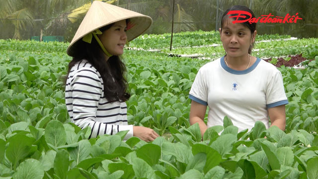 Lan toả lối sống xanh từ các mô hình khởi nghiệp với nông nghiệp sạch